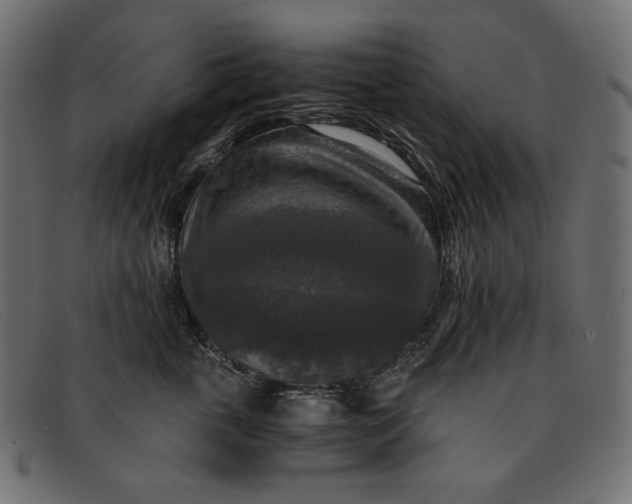 X0000091920763200709191339