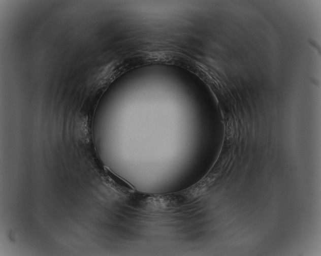 X0000091920764200709191339