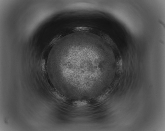 X0000091920765200709191339