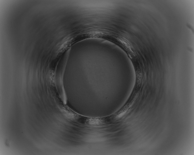 X0000091920766200709191339
