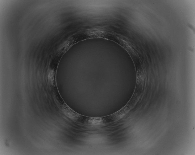 X0000091920767200709191339