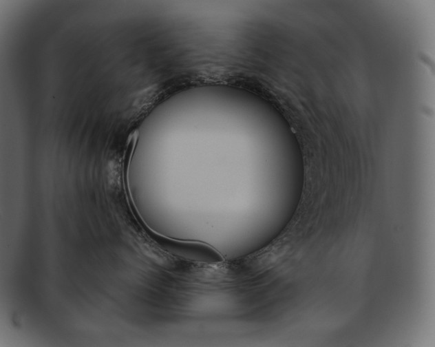 X0000091920768200709191339