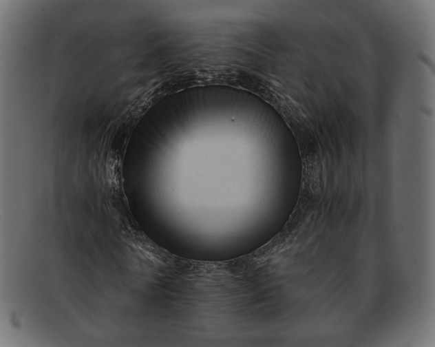 X0000091920770200709191339