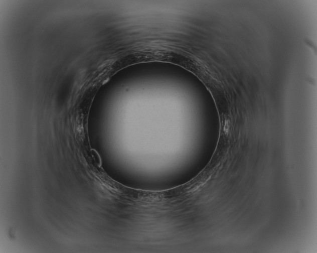 X0000091920771200709191338