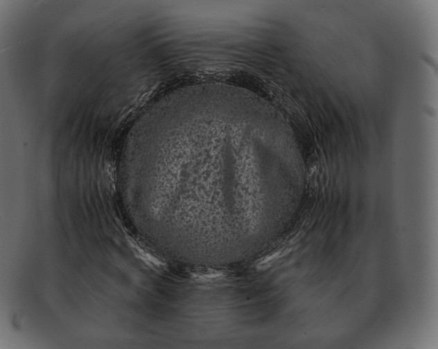X0000091920772200709191338