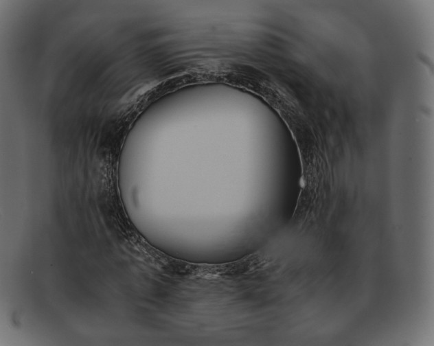 X0000091920773200709191338
