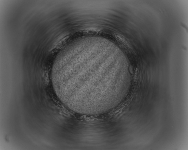 X0000091920774200709191338