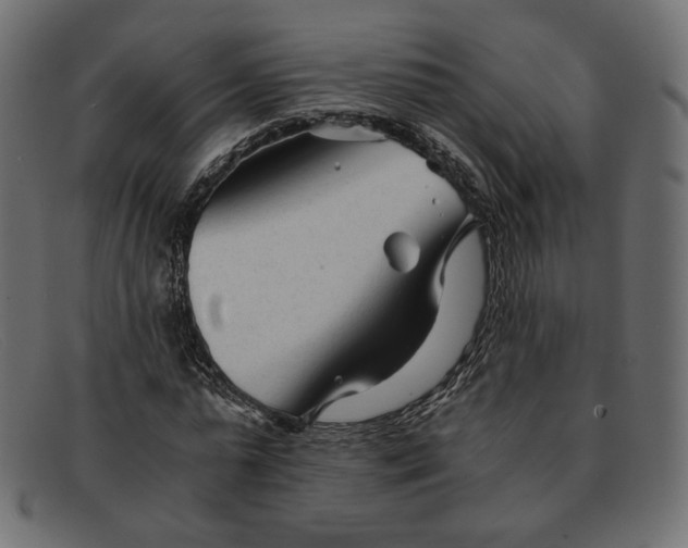 X0000091920775200709191338