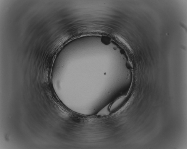X0000091920777200709191338