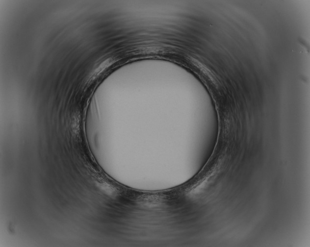X0000091920778200709191338