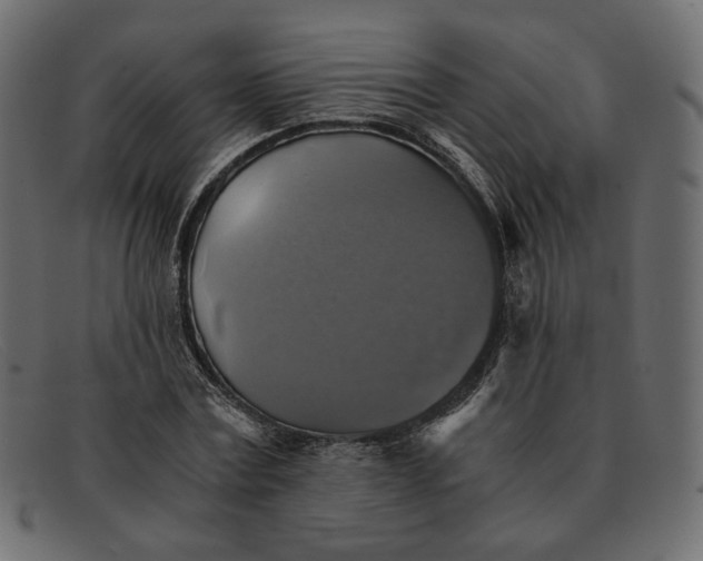 X0000091920779200709191338