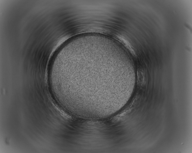 X0000091920780200709191338