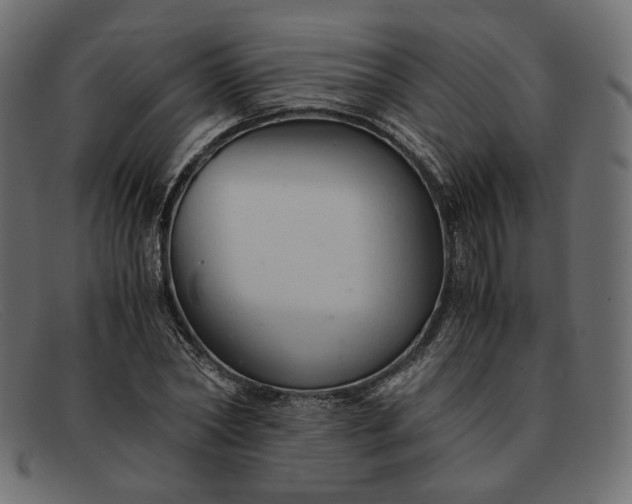X0000091920782200709191338