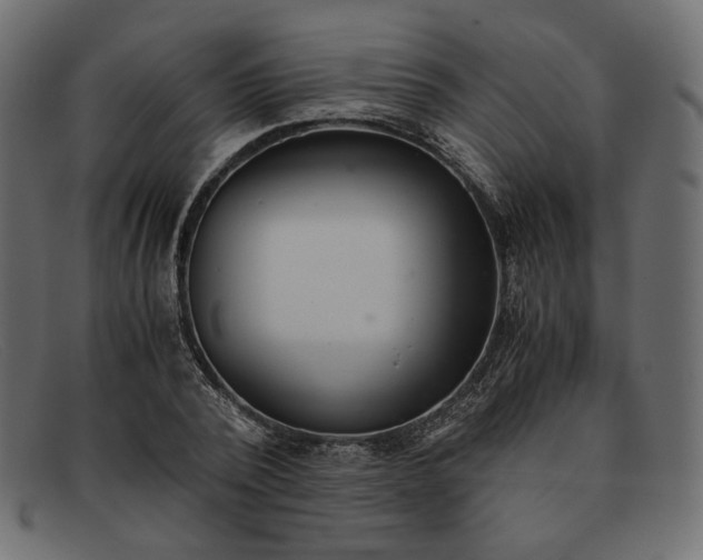 X0000091920784200709191338