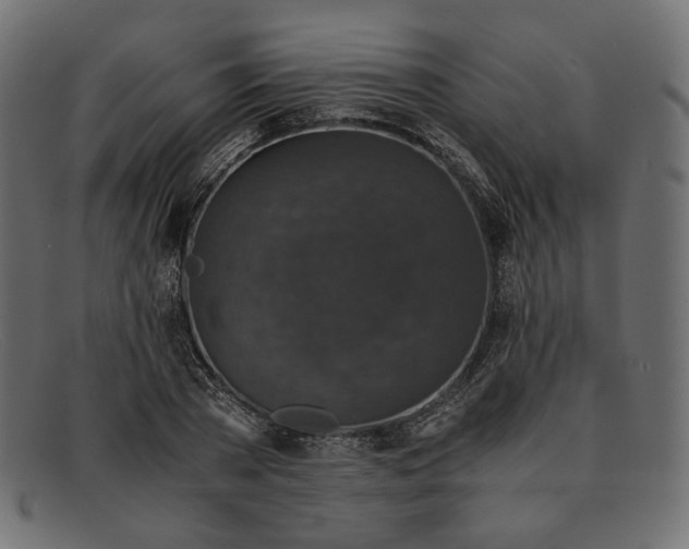 X0000091920785200709191338