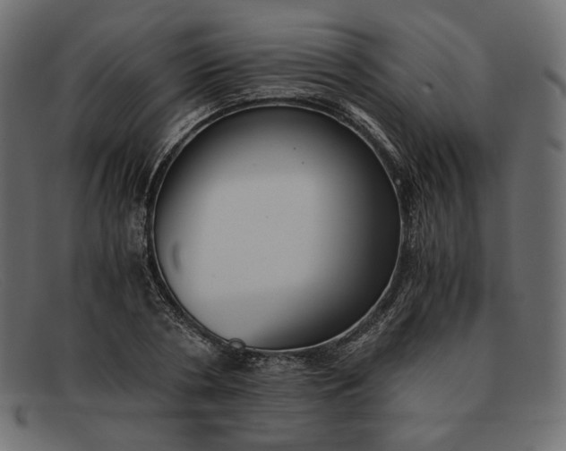 X0000091920786200709191338