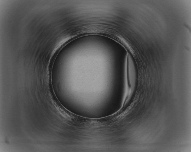 X0000091920787200709191338