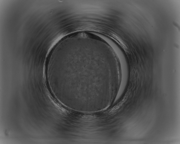 X0000091920788200709191338