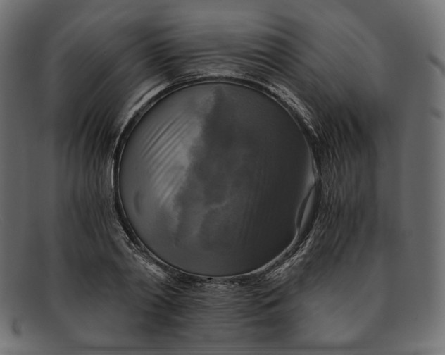X0000091920790200709191338