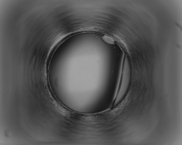X0000091920792200709191338