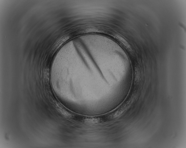 X0000091920793200709191338