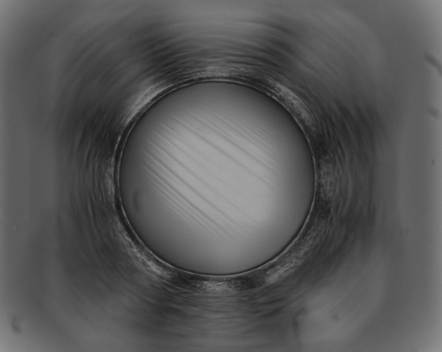 X0000091920794200709191338