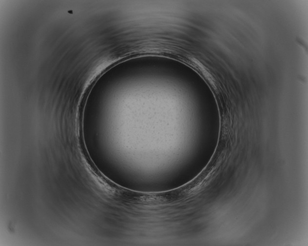 X0000091920795200709191338