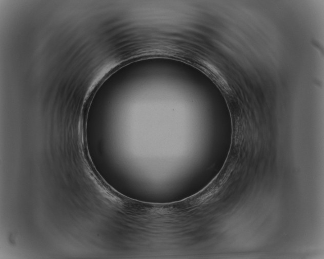 X0000091920796200709191338