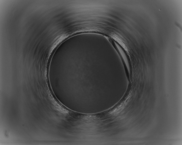 X0000091920797200709191338