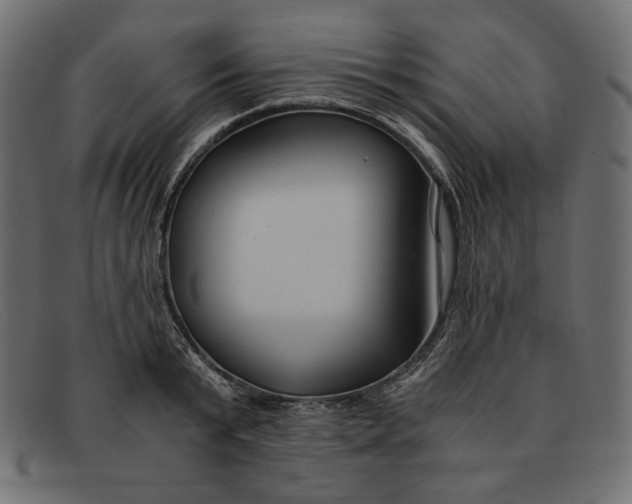 X0000091920799200709191338