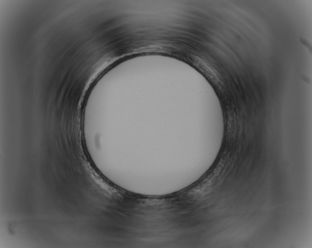 X0000091920800200709191338