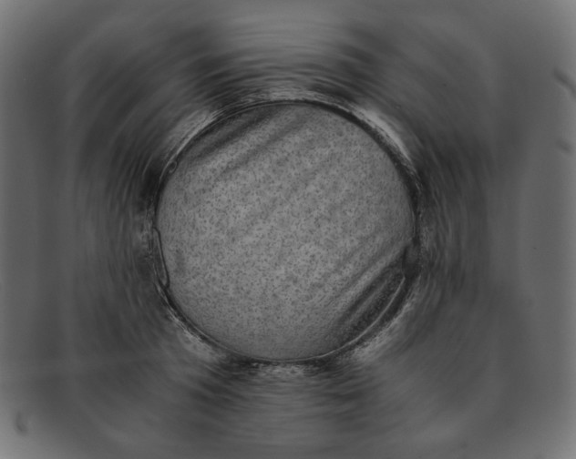 X0000091920801200709191338