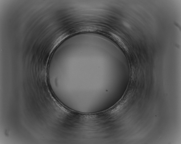 X0000091920802200709191338