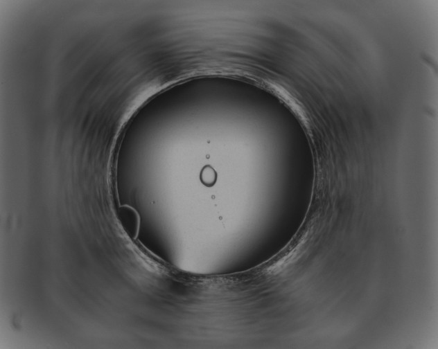 X0000091920803200709191338