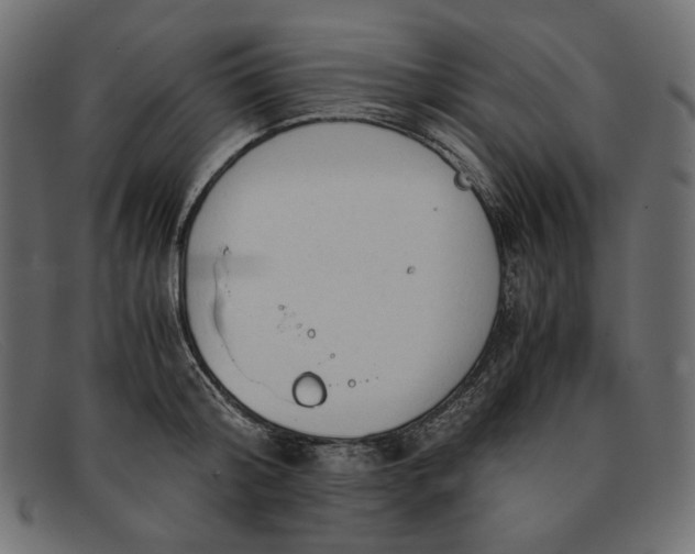 X0000091920804200709191338