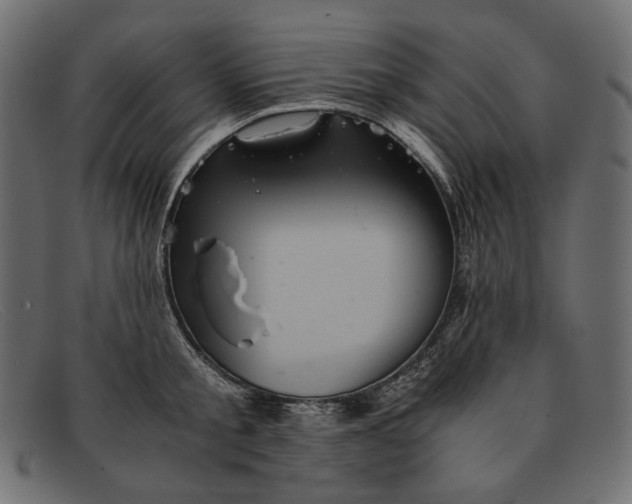 X0000091920805200709191338