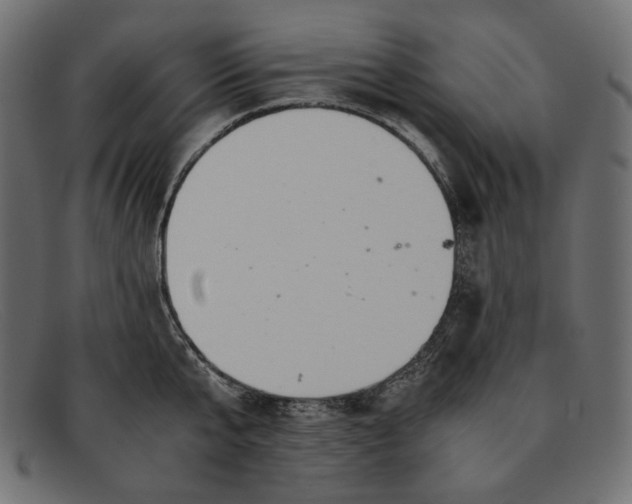 X0000091920807200709191338