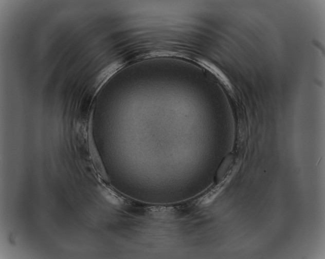 X0000091920809200709191338
