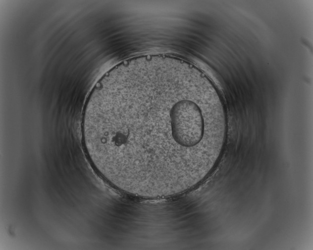 X0000091920810200709191338