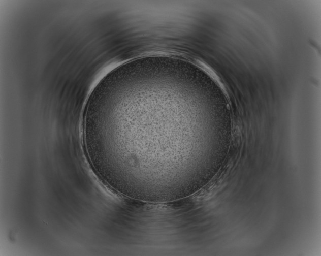 X0000091920811200709191338