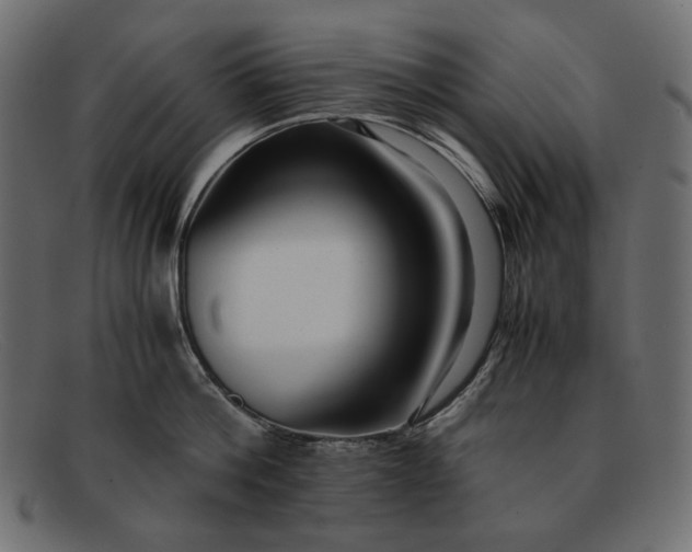 X0000091920812200709191338