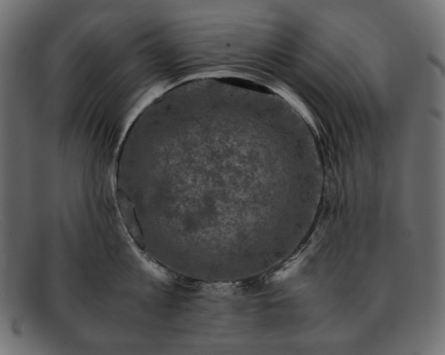 X0000091920813200709191338