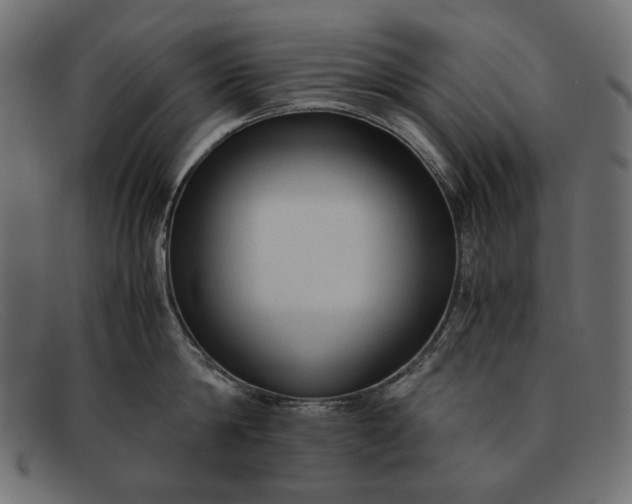X0000091920814200709191338