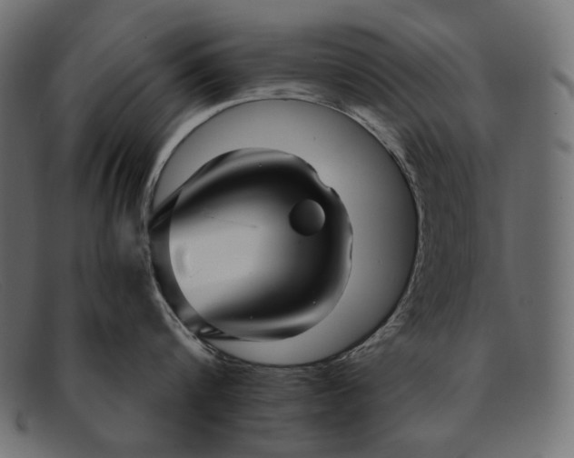 X0000091920816200709191338