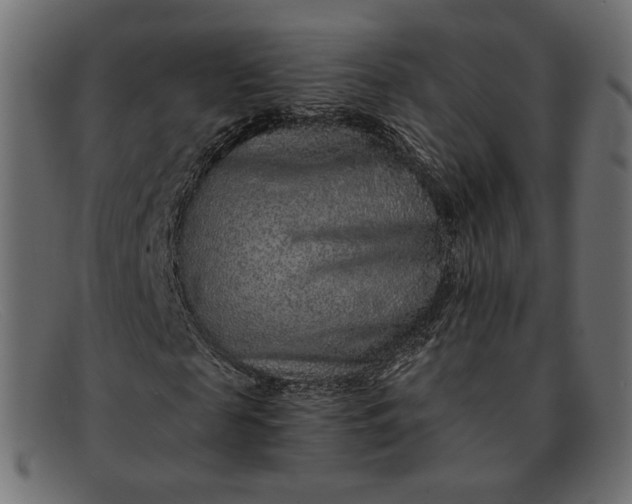 X0000091920817200709191337