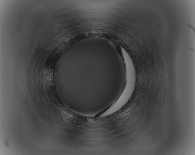 X0000091920818200709191337