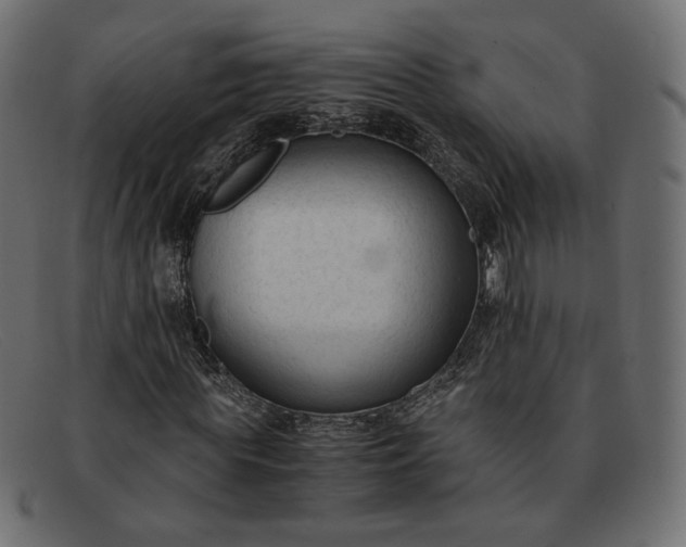 X0000091920819200709191337