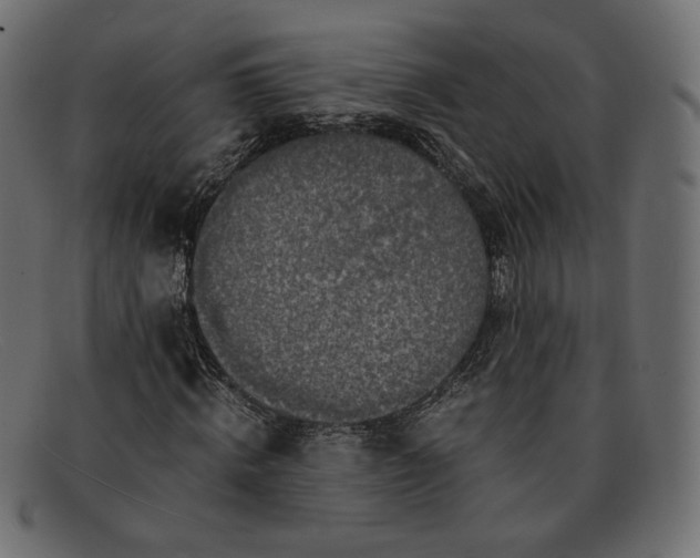 X0000091920820200709191337