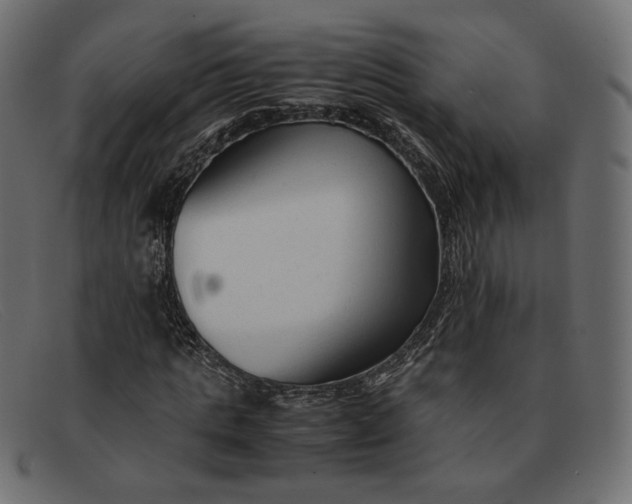 X0000091920821200709191337