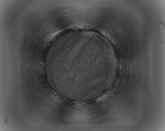X0000091920822200709191337